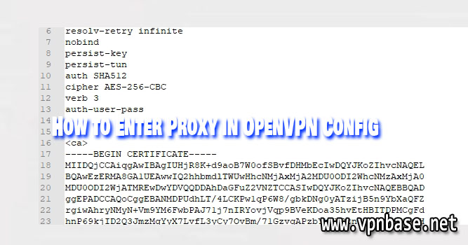 How to Enter Proxy in OpenVPN Config